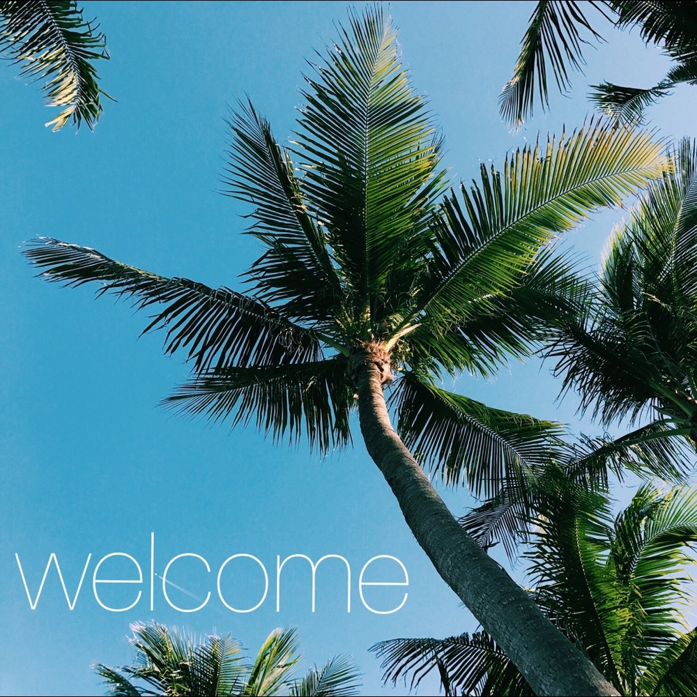 Welcome! ⭐️